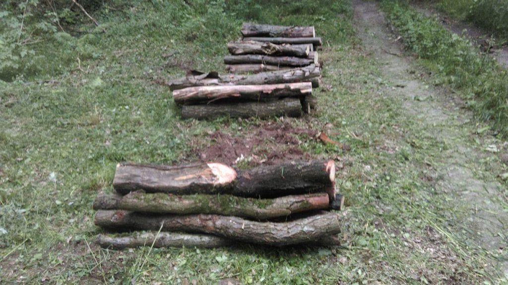 Outdoor Fitnesspark Trendelburg