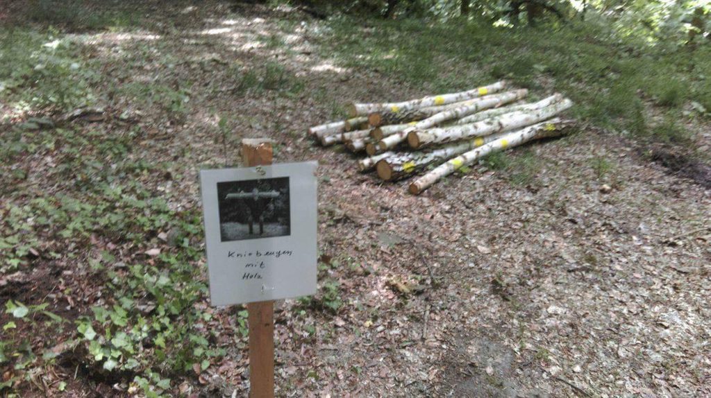 Outdoor Fitnesspark Trendelburg