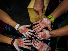 Strong Viking Lab "Hände"