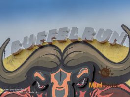 Buffel Run Beitragsbild