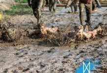 Strong Viking Obstacle Run Frankfurt 2026 Strong Viking Wächtersbach - Water Edition 2024