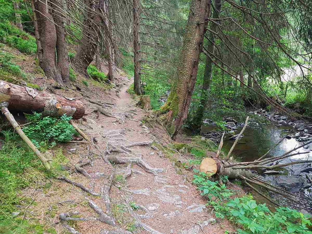 OCR-Katrin@MonkeyBarn-Trail-2