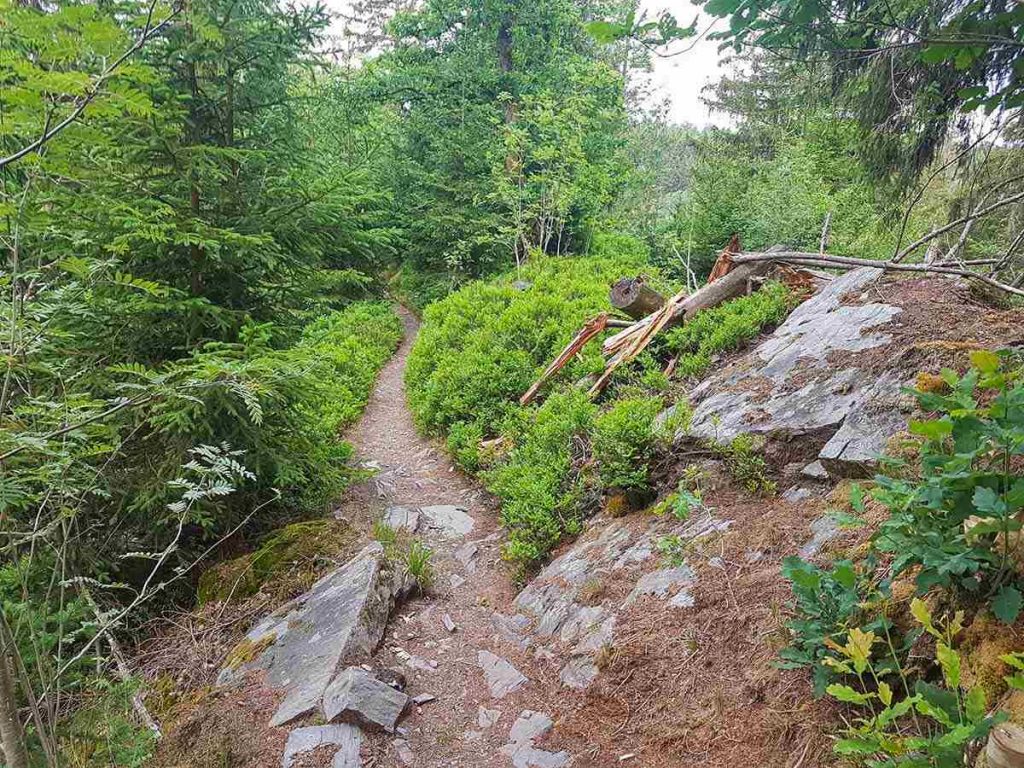 OCR-Katrin@MonkeyBarn-Trail-3