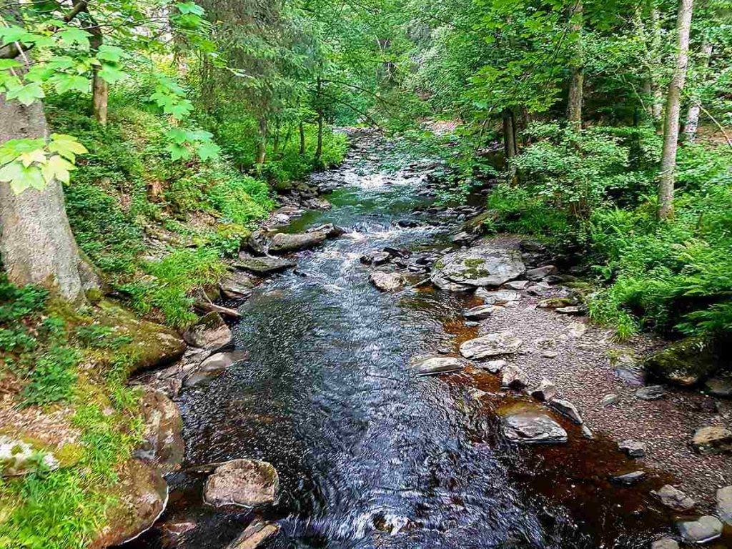 OCR-Katrin@MonkeyBarn-Trail-7