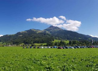 .. ihr werdet gesucht! Legion Gladius - Beitragsbild