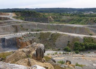 Strong Viking Brother Edition Warstein 2021