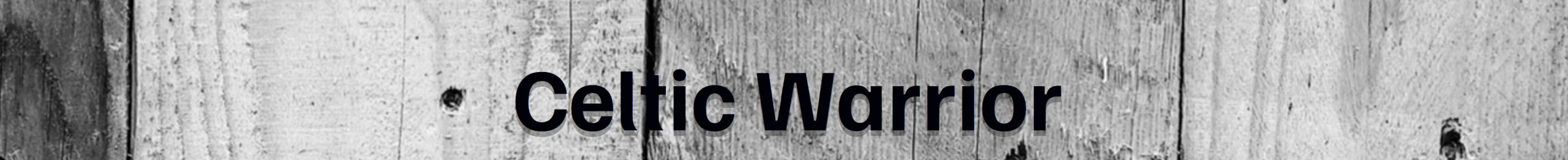 Celtic Warrior Dirtrun - Beitrag 01